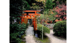 Đền thờ kỳ lạ ở Nhật Bản xây chỗ uống nước dành riêng cho những chú ong